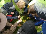 Kinder betrachten Baumblätter