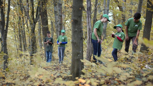 Waldpflege Waldpflege