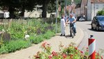 Blumenbeete in Bad Urach - mit Schafwollpellets gedüngt