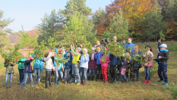 Wacholderheidepflege Wacholderheidepflege