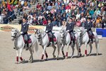 Elegante Lipizzanerhengste aus dem Nationalgestüt Lipica, Foto: Oliver Seitz