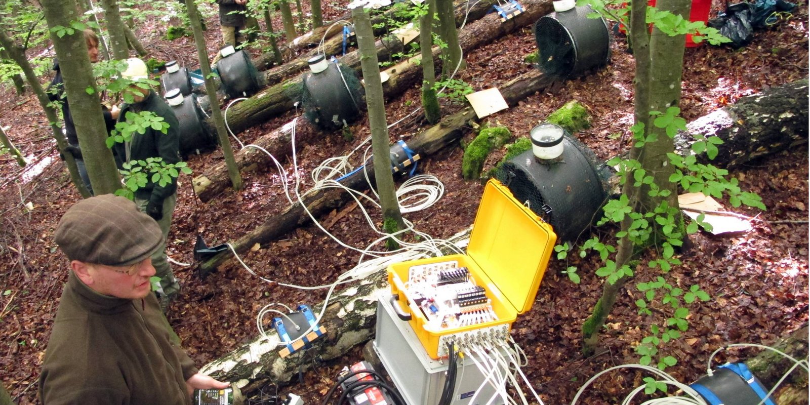 Ökologische Erhebungen im Rahmen der Biodiversitäts-Exploratorien