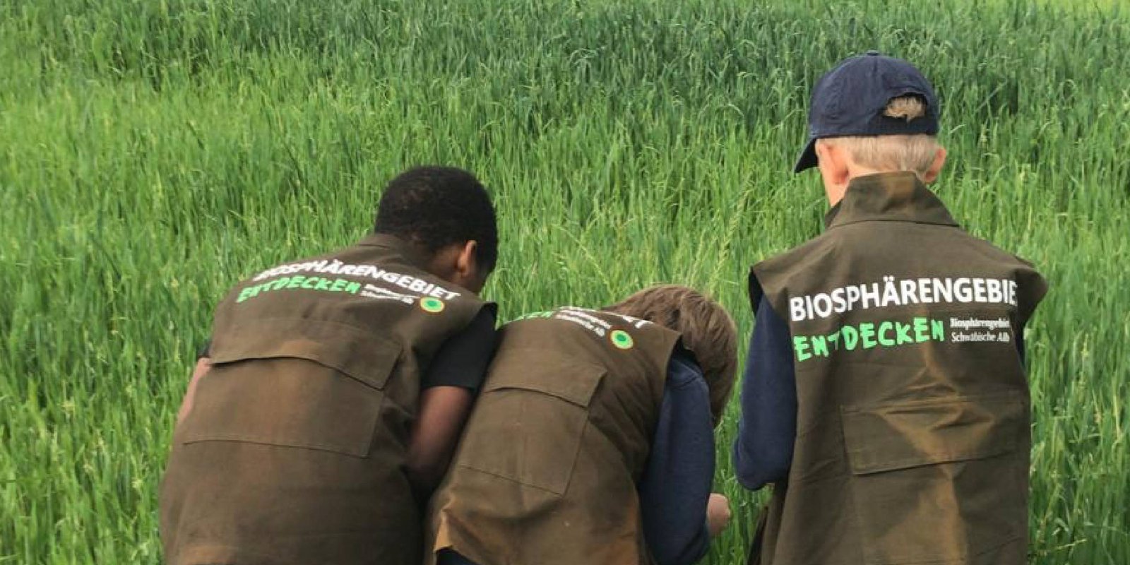 Drei Jungs untersuchen ein Feld