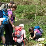 Mehrere Junior Ranger entdecken die Flora und Fauna des Biosphärengebiets