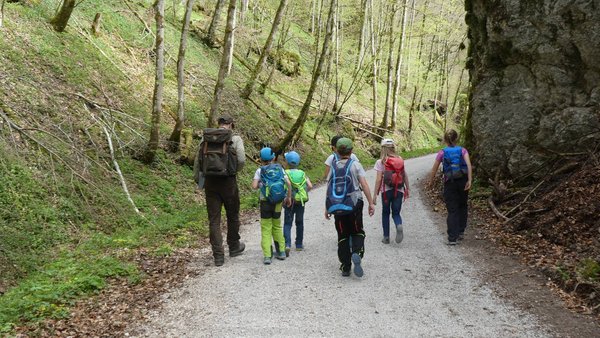 Exkursionen im Wald Exkursionen im Wald