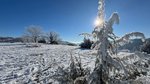 Mit Raureif überzogene Landschaft auf dem Beutenlay, Münsingen 