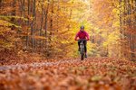 Radfahrerin im Herbstwald